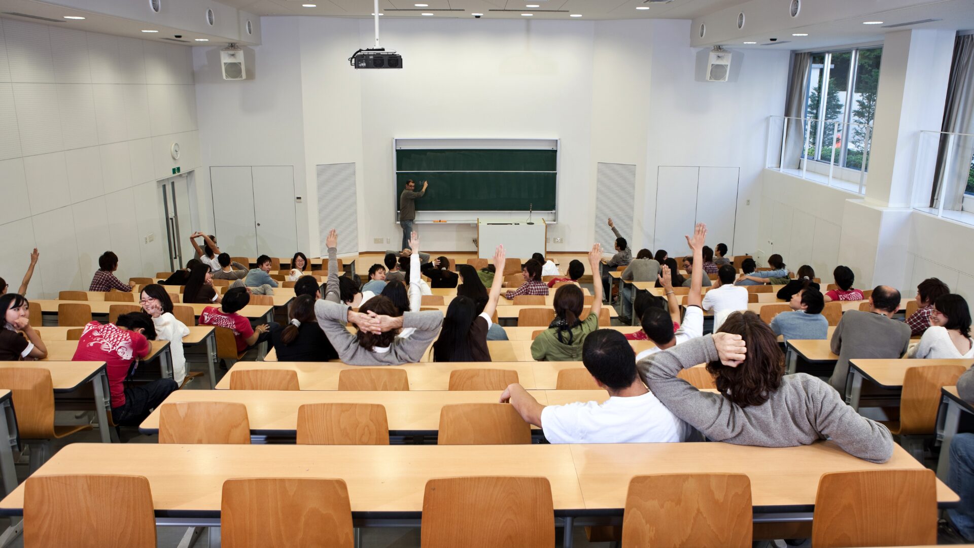 Universidades y docentes